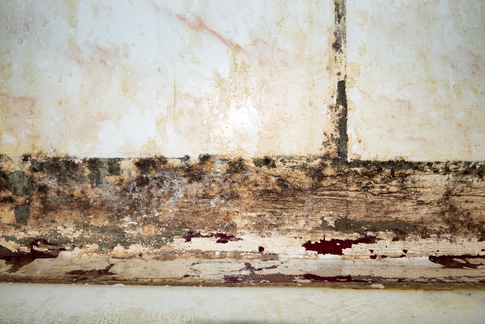Wall above the floor stained black with mold and peeling paint after a leak